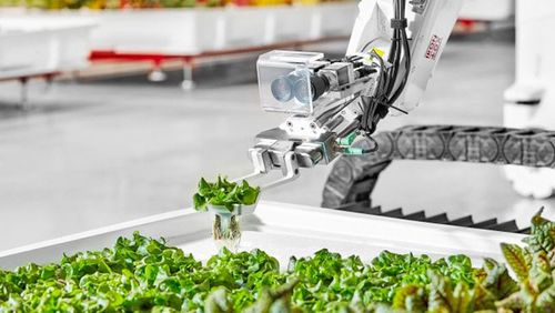 Drones vs abejas: la revolución silenciosa que salva cultivos