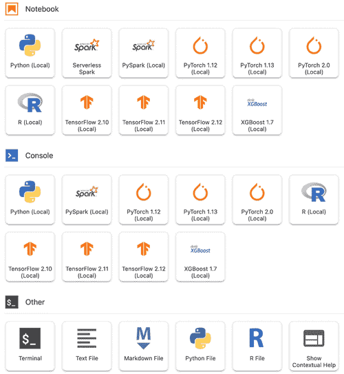 图 4.8 – Vertex AI Workbench 中的由 Google 管理的 JupyterLab 实例