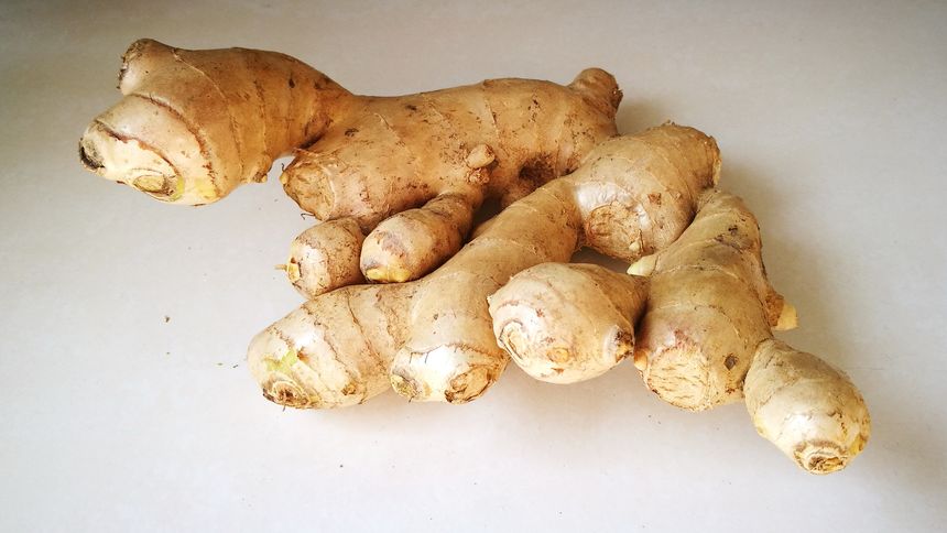 ginger rhizome