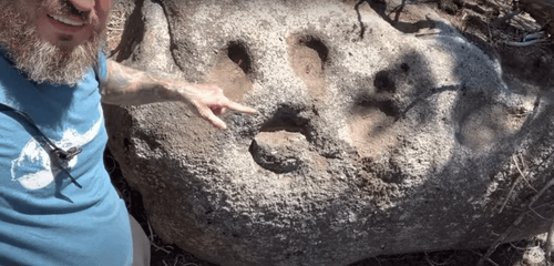 r/AlternativeHistory - Figure 4. Michael points at the cleaned-out "cup marks" of the boulder shown in Figure 3.