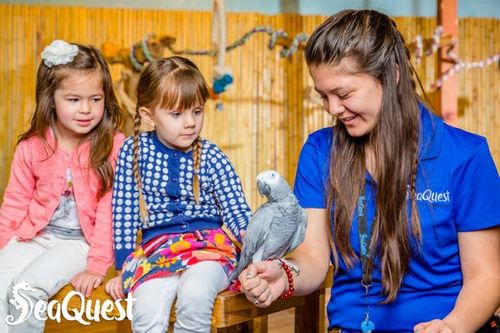 SeaQuest Roseville