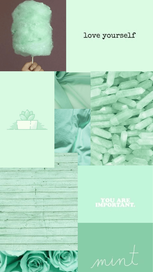 1080x1920 Aesthetic Mint Green Wallpaper on WallpaperBat