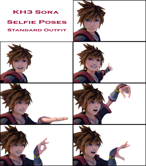 r/KingdomHearts - All Selfie Poses with transparent backgrounds. Meme Away friends.