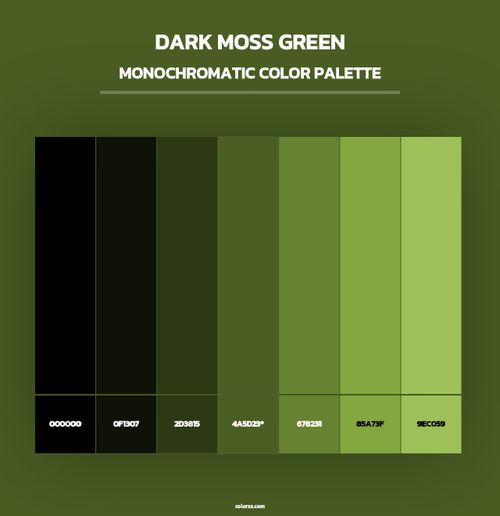 Dark Moss Green - Monochromatic Color Palette