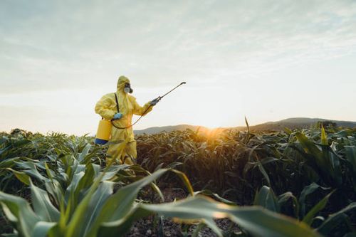 Food Contamination