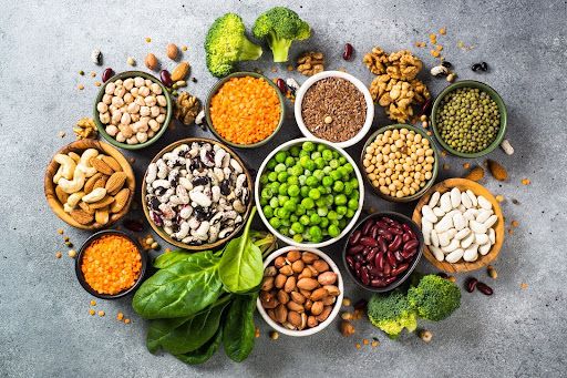 Plant Proteins: Exploring Protein-Rich Vegetarian Foods