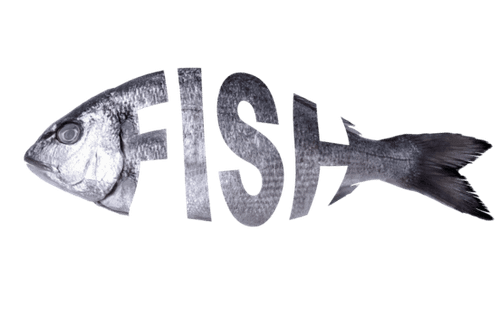 pescado fresco, pescado dorado, pescado de texto creativo. fondo transparente. png