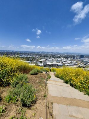 Baldwin Hills Scenic Overlook State Park