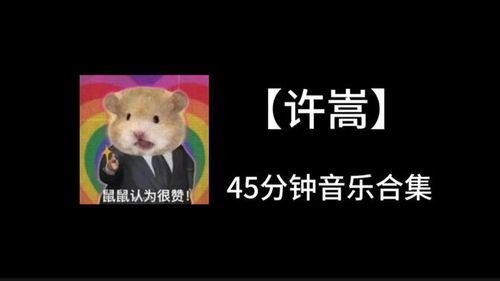 【许嵩】45分钟音乐合集#戴好耳机#作业必备