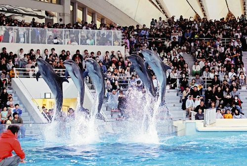 福岡 デート 冬 室内 おすすめ マリンワールド海の中道