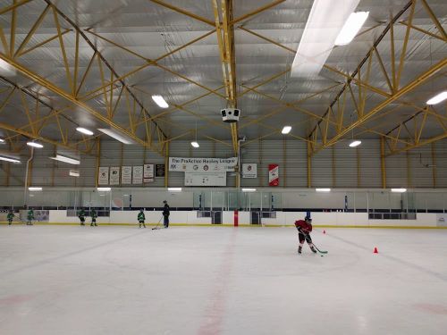 Angela James Arena