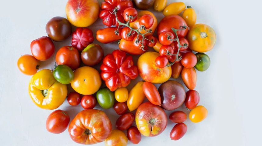 Different types of tomatoes