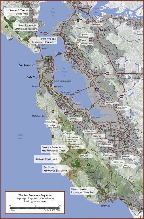 a map of the san francisco area with many roads and major cities in red line
