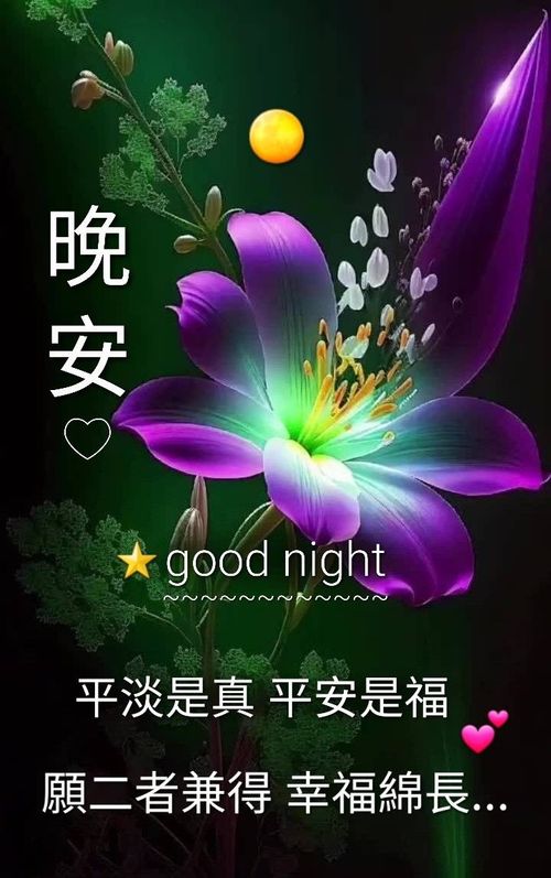 a purple flower with the words good night written in english and chinese characters below it