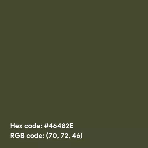 Army Green CMYK (Hex code: 46482E) Color Thumbnail