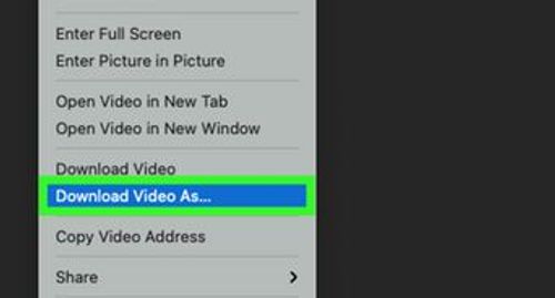 Save Video Using Inspect Element