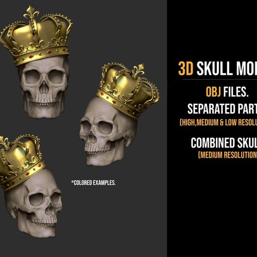 3D Skull With Crown OBJ File Procreate M1+ chip models only , Skull Reference, Rendered Model, Tattoo Style, Human Anatomy, 3D model