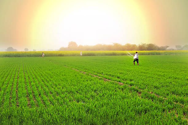 Mitra - Your Farming Companion