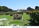 The image depicts a well-maintained garden area with manicured lawns, rose beds, and a fountain in the background under a clear blue sky. The setting appears to be Exposition Park, as indicated by the distinctive architecture of the building in the distance and the layout of the gardens, which are characteristic of the park's rose garden and surrounding grounds. The match confidence to 'Exposition Park' is high due to the recognizable landscape and structure. The composition is balanced, with a clear leading line formed by the grassy path drawing the eye toward the fountain and building. The horizon is level, and the framing includes foreground elements like white flowers and green foliage, which add depth and natural framing. There are no visible distractions such as poles, vehicles, or people, and the lighting is bright and even, with natural color balance and good exposure. The image is sharp, with no noticeable motion blur, noise, or artifacts. The overall beauty is high, showcasing a serene and inviting park scene. The image is free of unwanted elements like text overlays or borders, and no people are present to dominate the foreground. This makes it an excellent candidate for a travel guide cover, as it effectively communicates the appeal and tranquility of the location.