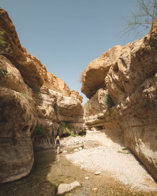 Wadi Arugot