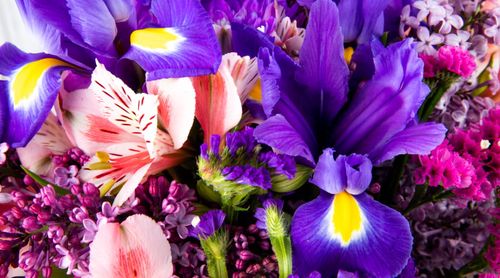 Other Purple Flowers' Names