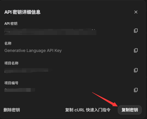 复制生成的 API 密钥