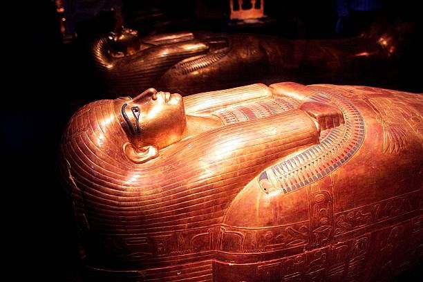 The coffin of Tjuya, a non-royal in-law of Amenhotep is displayed with the touring exhibit of Egypt's King Tutankhamun at the Field Museum May 25,...