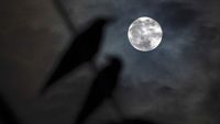 Spot the full harvest moon alongside golden Saturn in the night sky - CNN