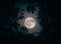 The Blue Moon Spectacle: Why We Still Crave Celestial Rarities