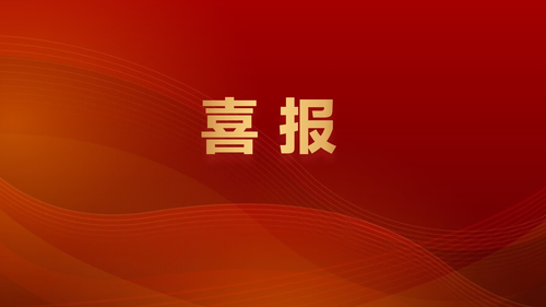 数智赋能 共创未来！龙石数据荣获第二届长三角数据开放创新应用大赛二等奖