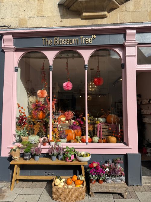 The Blossom Tree