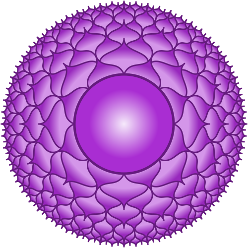 Sahasrara - Wikipedia