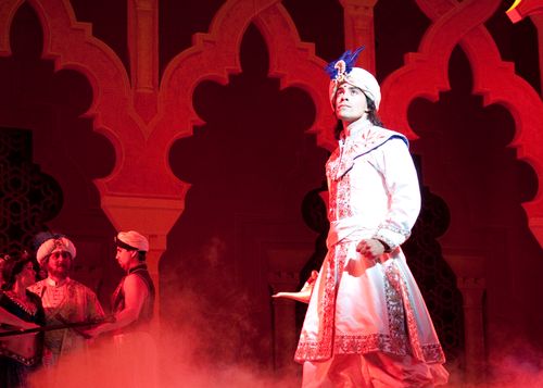 Aladdin in Disney's stage show