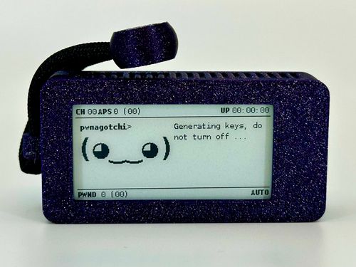 Pwnagotchi Image