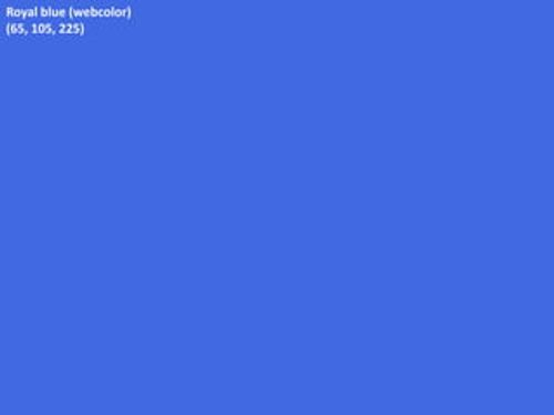 Royal blue (webcolor)(65, 105, 225)