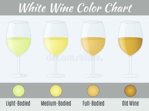 White wine color chart. stock illustration