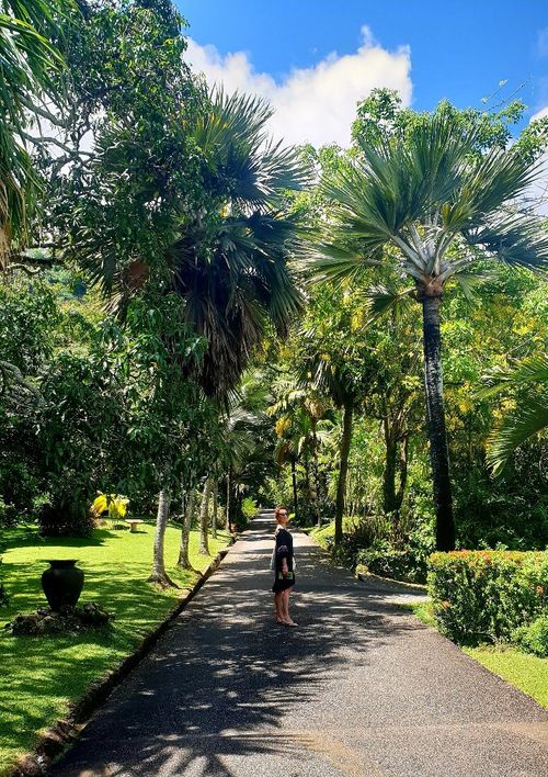 Seychelles National Botanical Gardens
