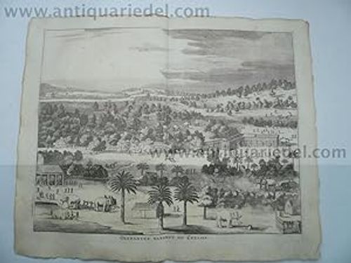 Seller image for Olyfanten vanghst op Ceylon, Baldaeus, anno 1672 for sale by Hammelburger Antiquariat