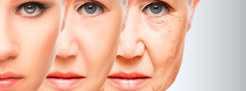 Las dos edades en las que el cuerpo humano envejece más rápido