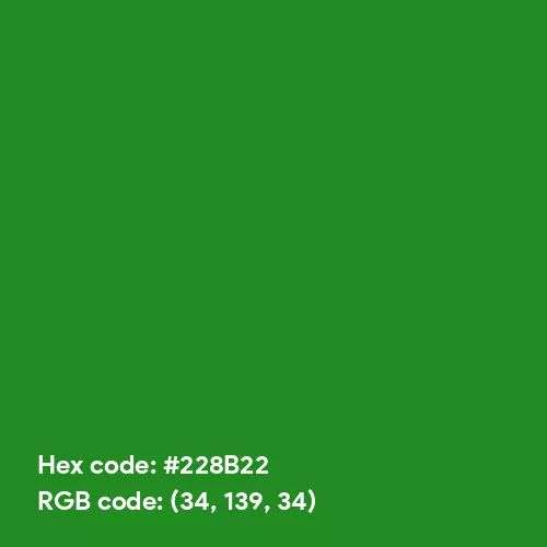 Forest Green (Hex code: 228B22) Color Thumbnail