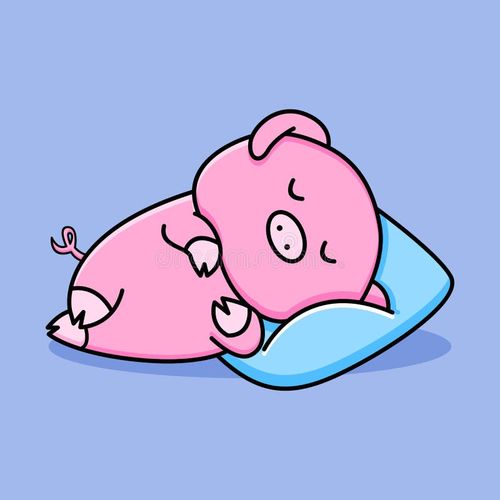 Cute pig sleeping cartoon design. Cute pig cartoon sleeping vectors