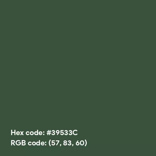 Military Green (Hex code: 39533C) Color Thumbnail