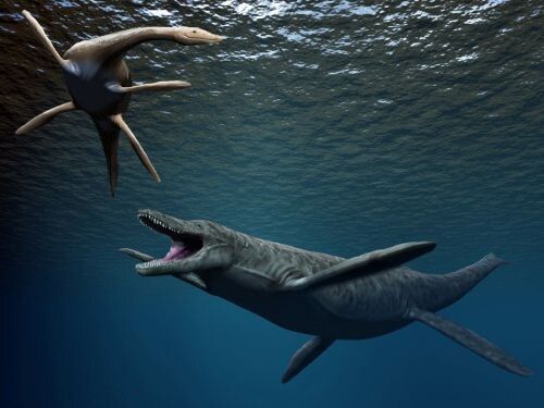 Kronosaurus