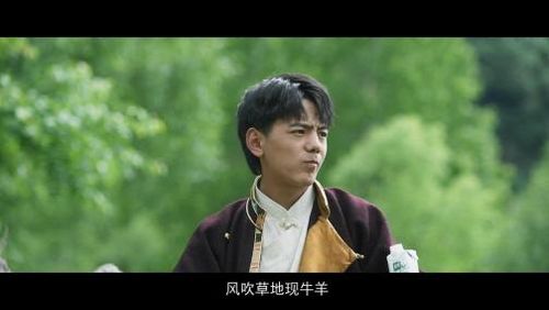 丁真的自然笔记