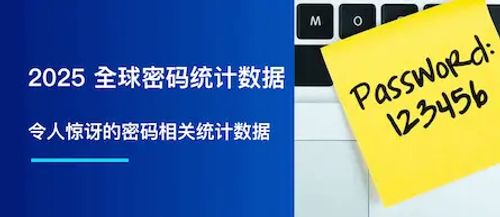 2025年，全球密码统计数据