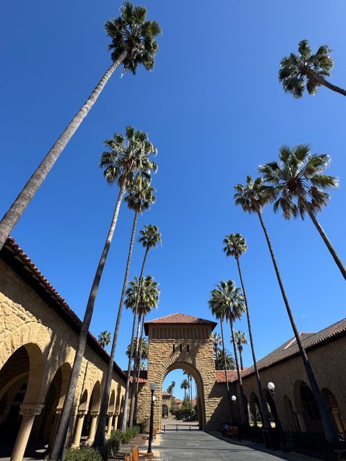 Free Elegant palm trees frame the historic archway at Stanford University, California, under a clear blue sky. Stock Photo