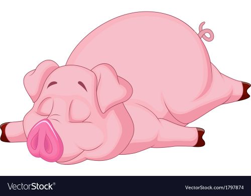 Cute pig cartoon sleeping