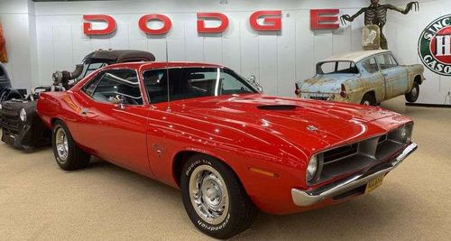 Rodz & Bodz Reel Car Rentals & Transport