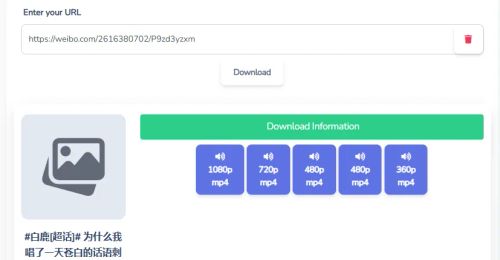Select an available quality option and download the Weibo video as MP4