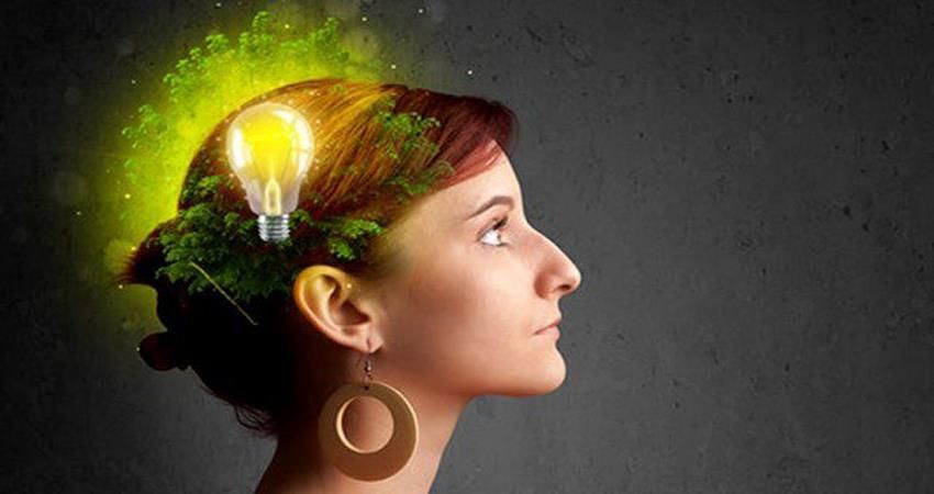 Shatavari is useful for women, gives relief from these problems